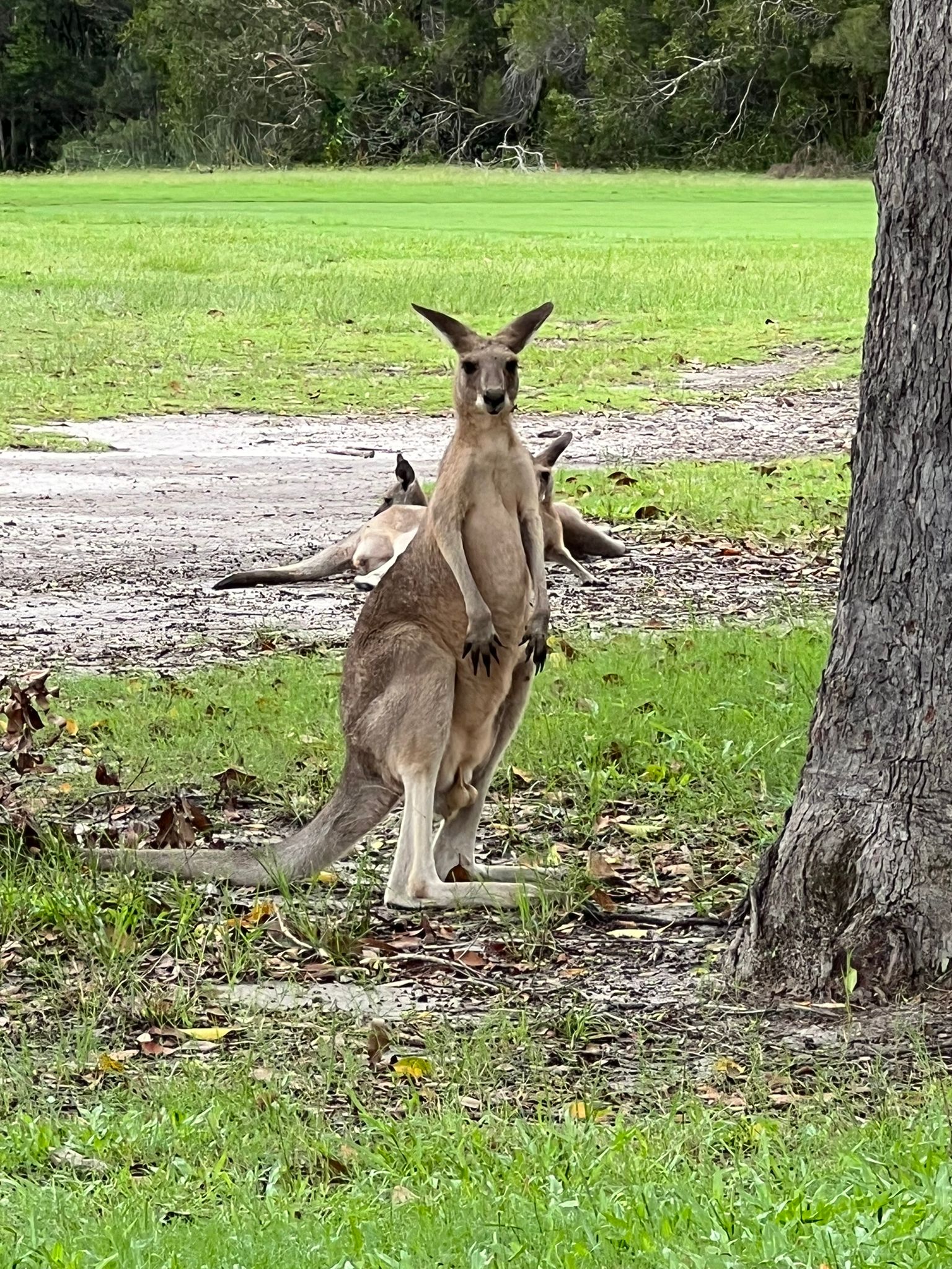 Bloke blog